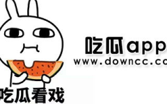那些吃瓜退网的网红,揭秘网络红人背后的真相与反思